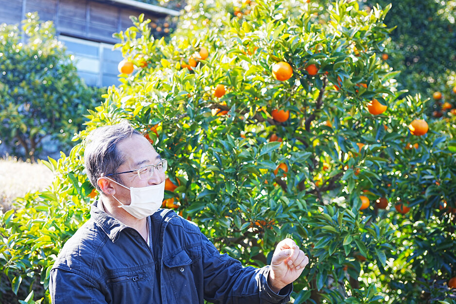 「日本の食をシンカさせる」ために、私たちが力になれることがあります。ぜひお気軽にお問い合わせください。